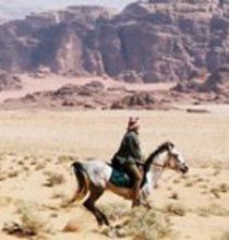 Petra To Wadi Rum Tour