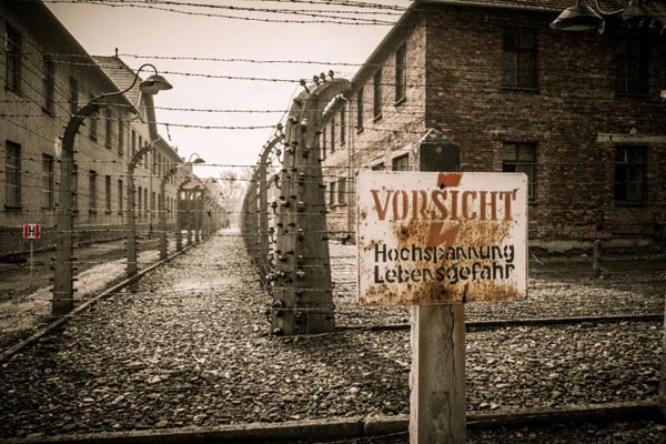 Krakow & Auschwitz Tour from Lodz Package Image