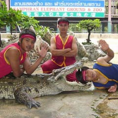 Elephant Theme Show & Crocodile Wrestling Package Image