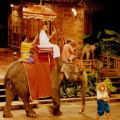 Thai Cultural Show At Rose Garden Package Image