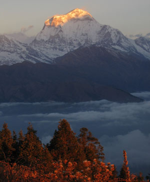 Nepal Experience Tour Package