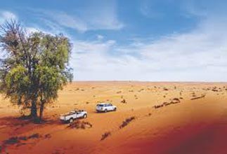 Desert Safari Abu Dhabi Stopover Tour Image