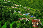 Amritsar Dharamshala Mcleodganj Tour Packages