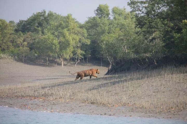 Kolkata, Sundarban Tour With Gangasagar