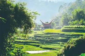 Toraja Culture And Nature Tour