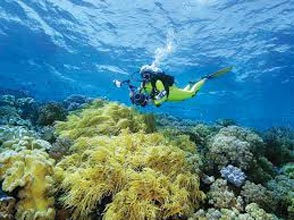 South & East Sulawesi Tour Package