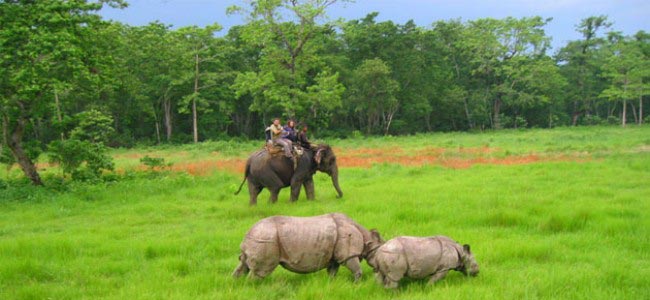 Chitwan Wildlife By Helicopter Tour