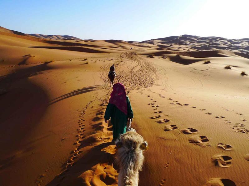 Morocco Desert Tour From Agadir To Ouarzazate