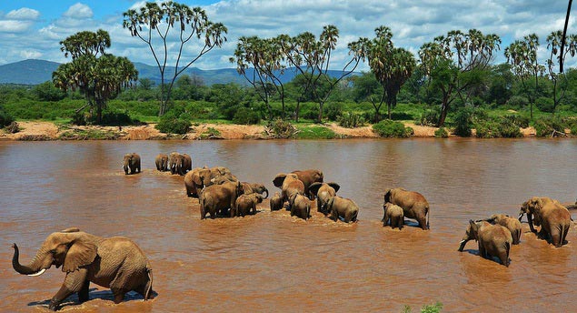 5 Days Samburu and Great Rift Valley Lakes Safari Package Image
