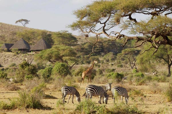 Samburu Safari-Samburu Camping Package