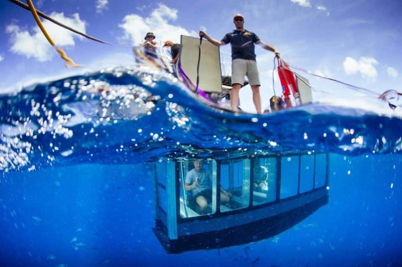 Ultimate Underwater Adventure With Great White Sharks Package