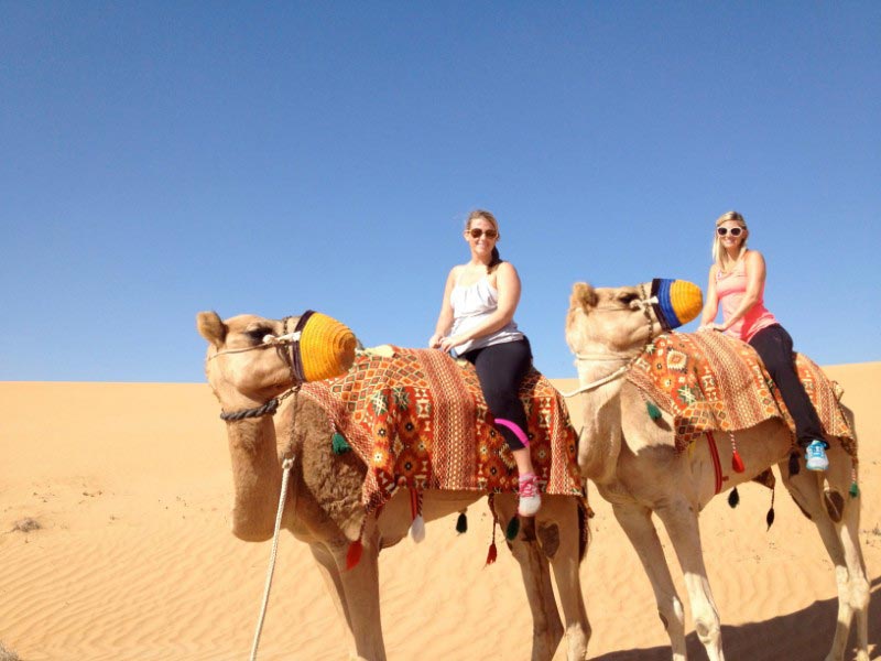Evening Desert Safari Abu Dhabi With Camel & Animal Farm Visit Package