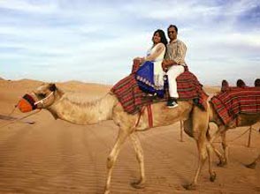 Abu Dhabi Overnight Desert Safari With Animal Farm Visit Package