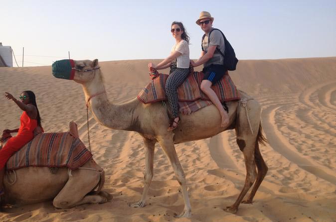 One Day Morning Safari Abu Dhabi With Camel & Animal Farm Visit Package