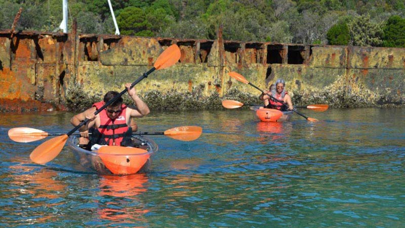 Tangalooma Clear Kayak Tour Package