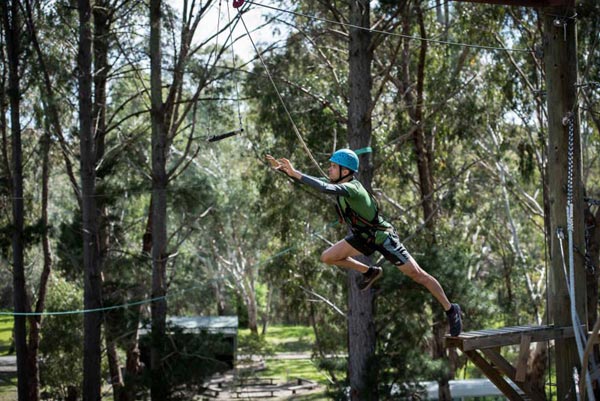 High Ropes Course And Team Activities Toiur