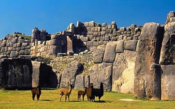 Cusco City Tour Package