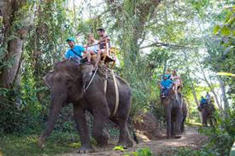 Bali Elephant Ride Package