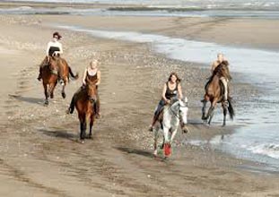 Bali Horse Riding Package
