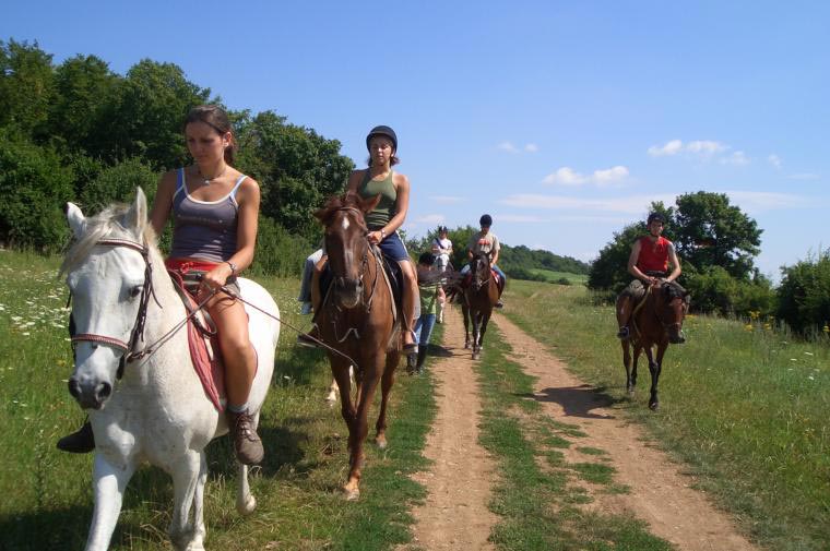 Horseback Riding – A Relaxing Activity In Slovenia Package