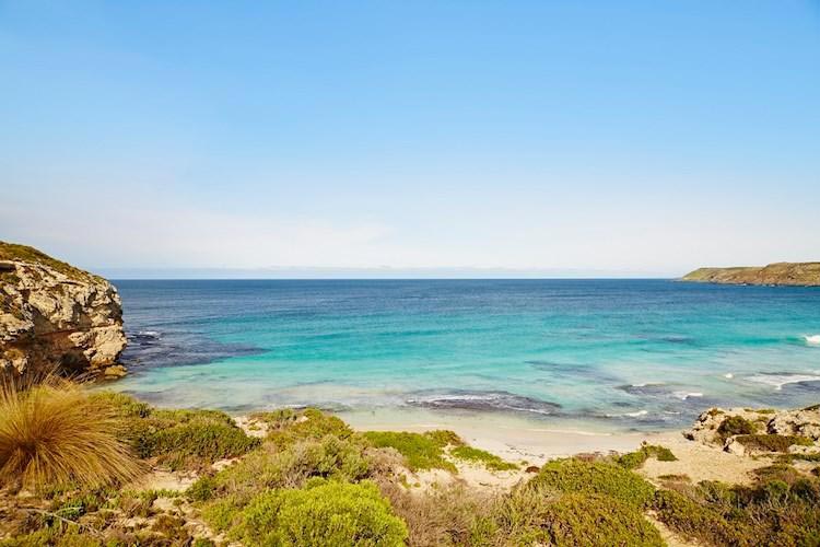 Kangaroo Island 1 Day Highlights Tour Package