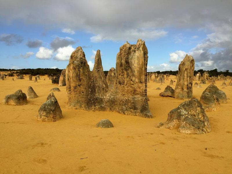 1 Day Pinnacles Tour From Perth | Australia Tours Package