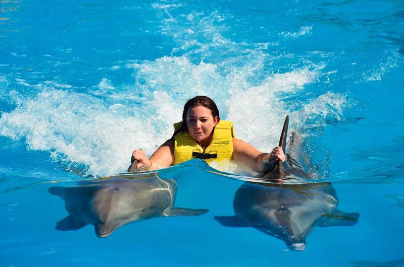 Adventure Beyond! Swim With Wild Dolphins Package