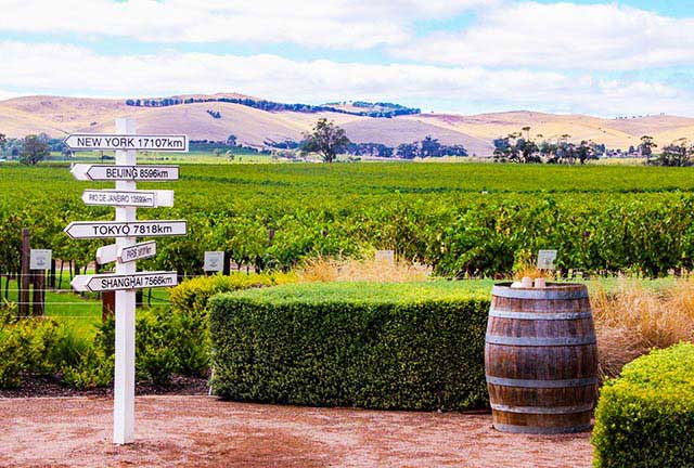 Barossa Valley Or Mclaren Vale Wine Tasting Tours Package