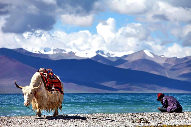 Lhasa Tour With Namtso Lake Package