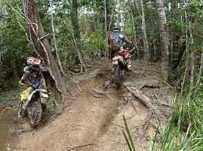 North Queensland Trail Bike Adventures – 1-day Trail Ride Package
