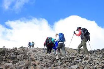 Kilimanjaro Climbing: Umbwe Route Tour