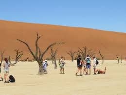 14 Days Cape & Namibia Camping Package