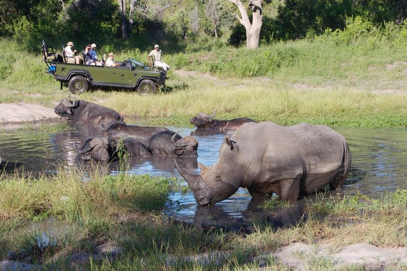 Kruger National Park 2 Days 1 Night Magical Safari From Johannesburg Package