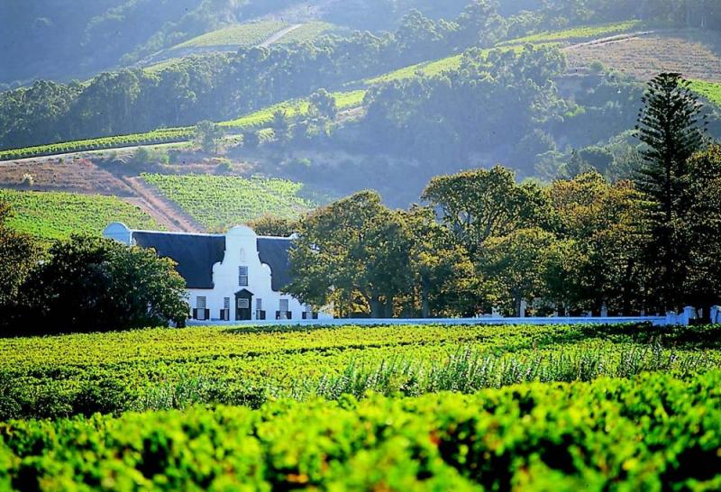 Cape Winelands Half Day Tour From Cape Town Hotels Package