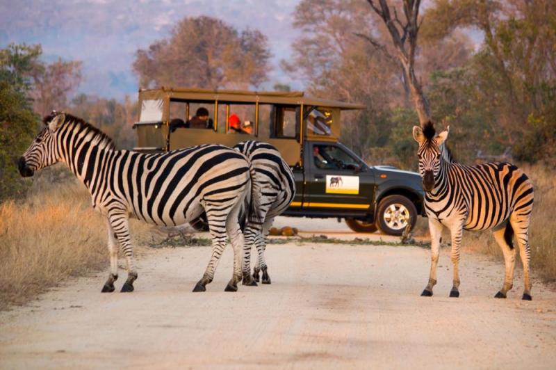 The Kruger Park Tour Package