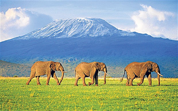 3 Days Amboseli Safari Package