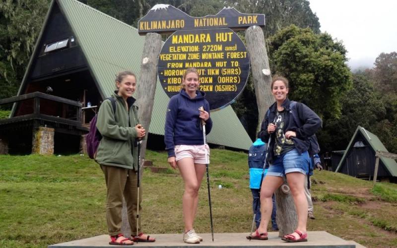 Kilimanjaro Day Hike Package