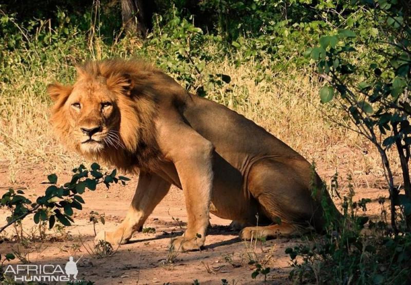14 Day Wild Zambia Group Tour Package
