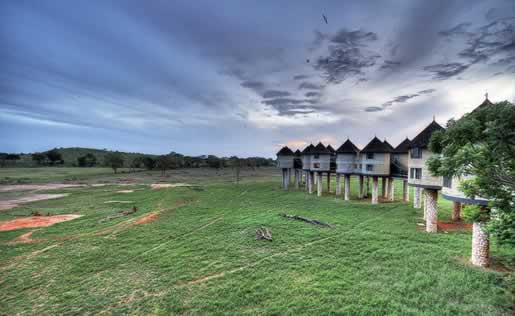 2 Days Mombasa Safari to Taita Salt Lick Package Image