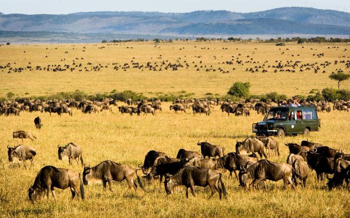 4 Days Masai Mara Safari Package