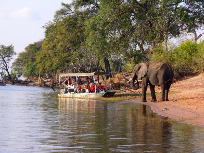 Chobe Tours Package
