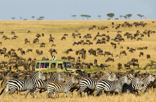 Serengeti Migration Safari Package