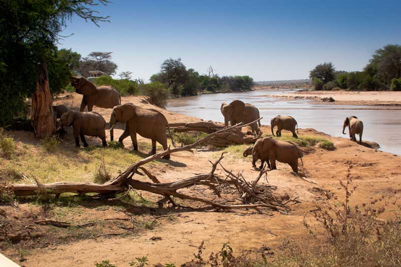 Northern Tanzania Safari Package Image