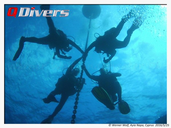 Q Divers Package