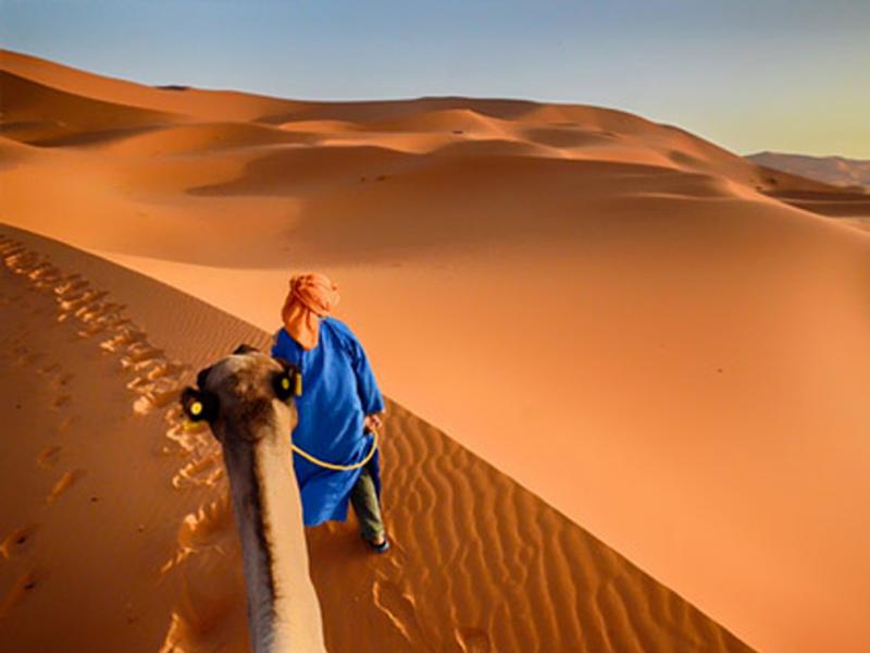 Wild Desert – 3 Day Private Tour Package