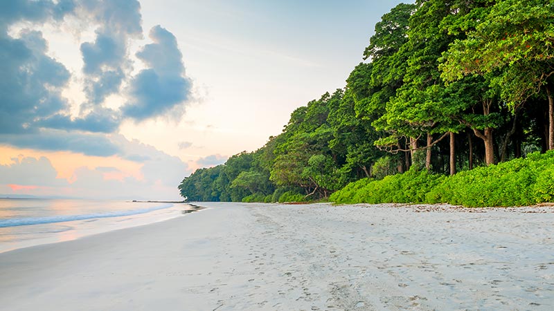 Andaman Tour - Easy Escape With Coral Island North Bay And Havelock Island