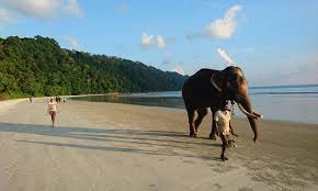 Andaman Tour Including Baratang With Airfare