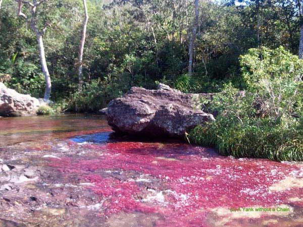 Rainbow River Caño Cristales Package