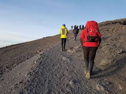 Kilimanjaro Trekking>7 Days Umbwe Route