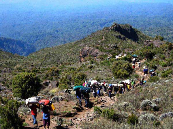 Kilimanjaro Trekking7 Days Machame Route